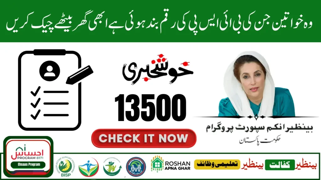 BISP 8171 Web Portal: Check Your Latest Payment by CNIC in July 2025!