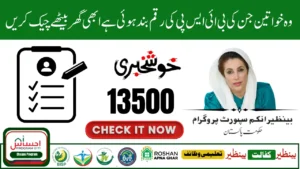 BISP 8171 Web Portal: Check Your Latest Payment by CNIC in July 2025!