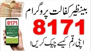 BISP 8171 Web Portal