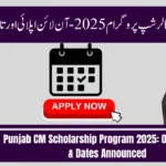Punjab CM Scholarship Program 2025: Online Apply & Dates Announced