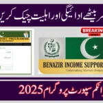BISP Beneficiary Status Check 2025 – Verify CNIC & Track Payments Online
