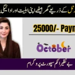 8171 Tracking Portal October 2025: Check Your CNIC Status Online Today