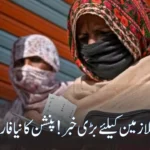 Govt Rolls Out Contribution-Based Pension Scheme for Federal Employees